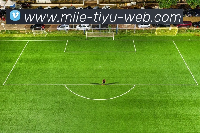 多媒体互动体验